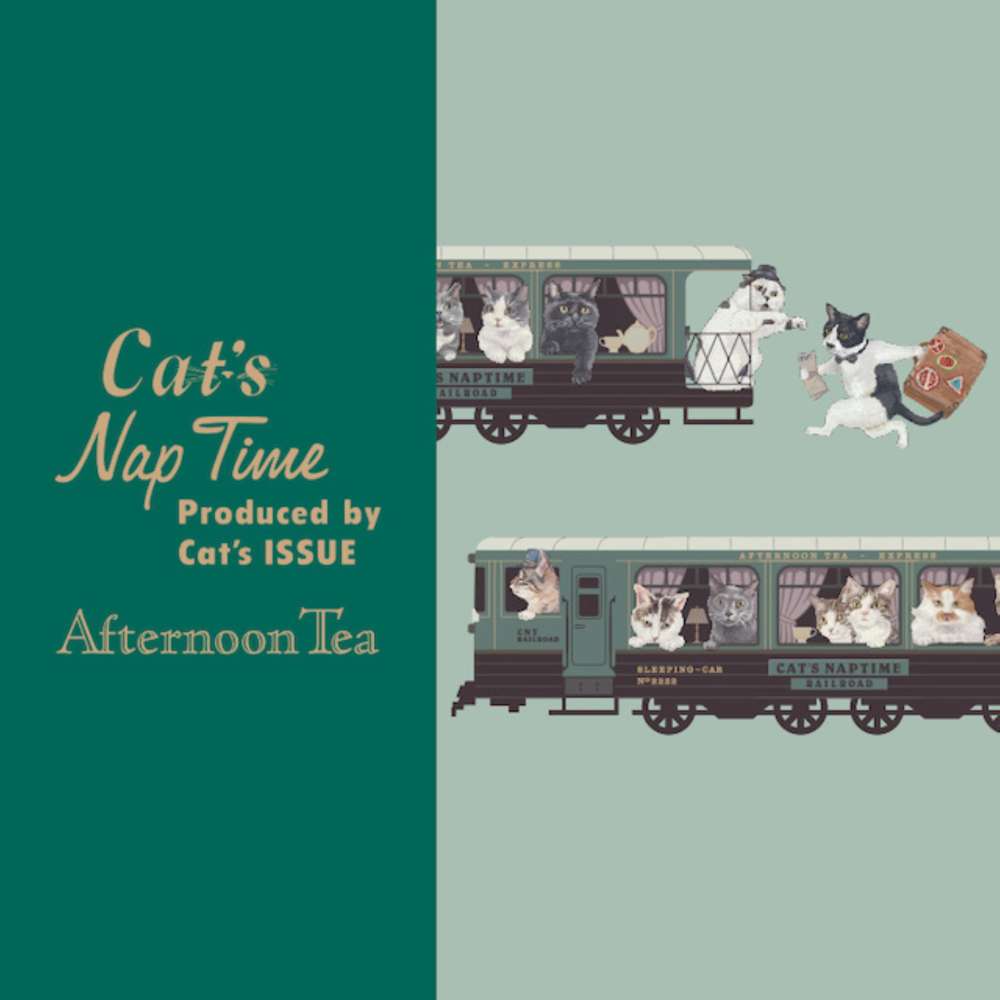 Cat's NapTimeシリーズ第10弾！2/22発売！ | アフタヌーンティー